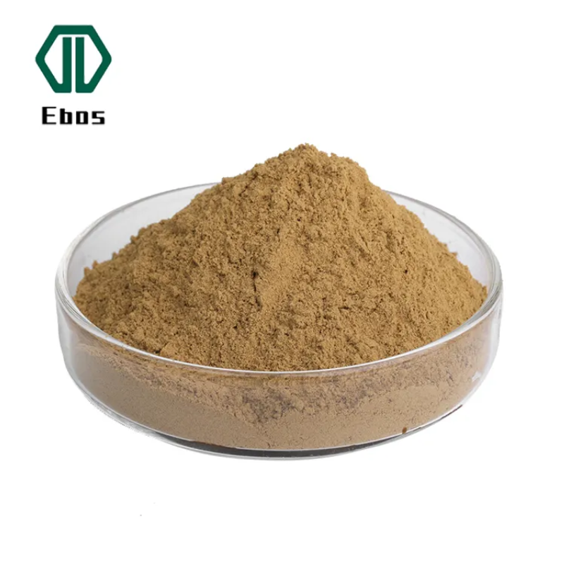 Factory Supple cinnamomum Bark Extract cinnamomum Pulvis Polyphenol