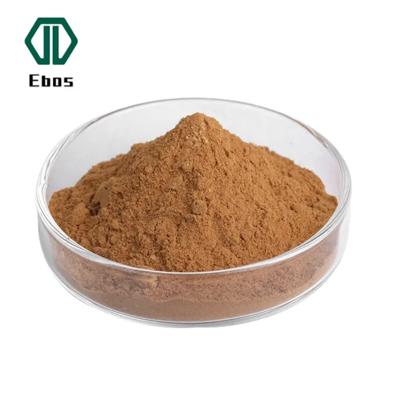 Plant Herb Extract Rosemary Leaf Extract Rosmarinic Acid