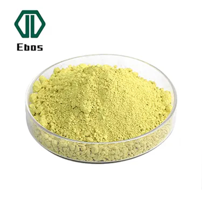 Sophora japonica extract quercetin powder