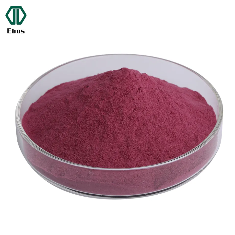 Estratto di Sambuco Nero Antocianidine