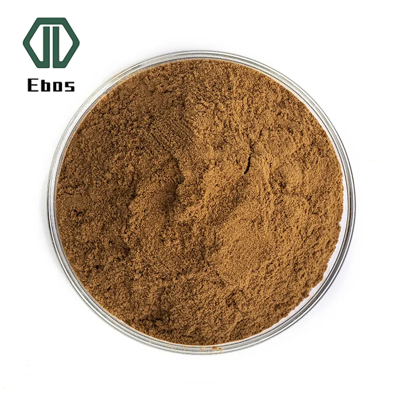 Ginkgo biloba extract